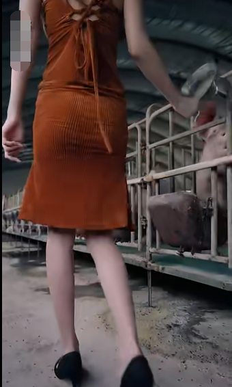 未来日记短剧 第01集