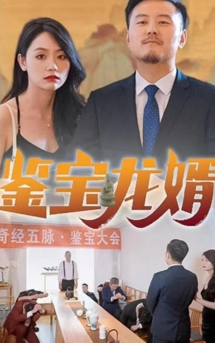 鉴宝龙婿 第67集