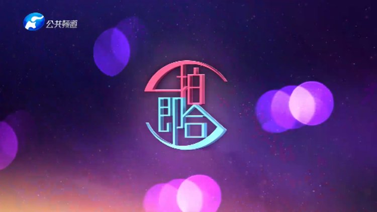 一拍即合嗨嗨嗨 第20230831期