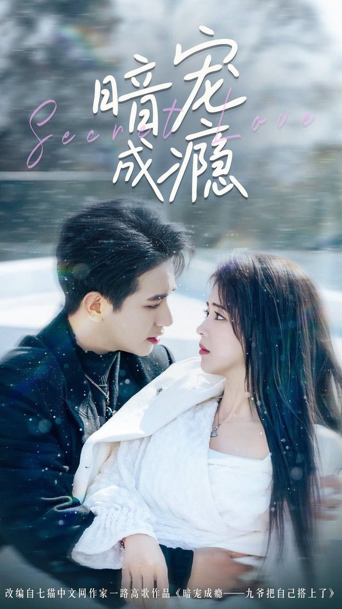 暗宠成瘾 第01-30集