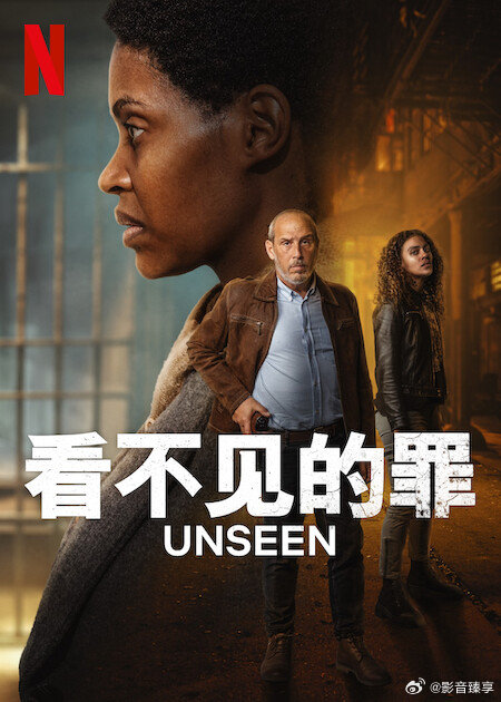 看不见的罪 第二季(全集)