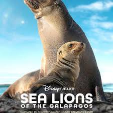 海狮利奥环岛记